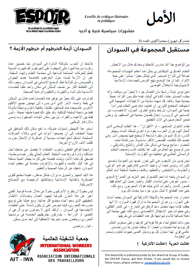 Sudan: Genozid durch die Dschandschawid-Miliz
