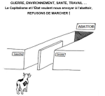 Ce n'est pas les vaches qu'il faut abattre mais le virus Capitaliste et son vecteur, l'État !
