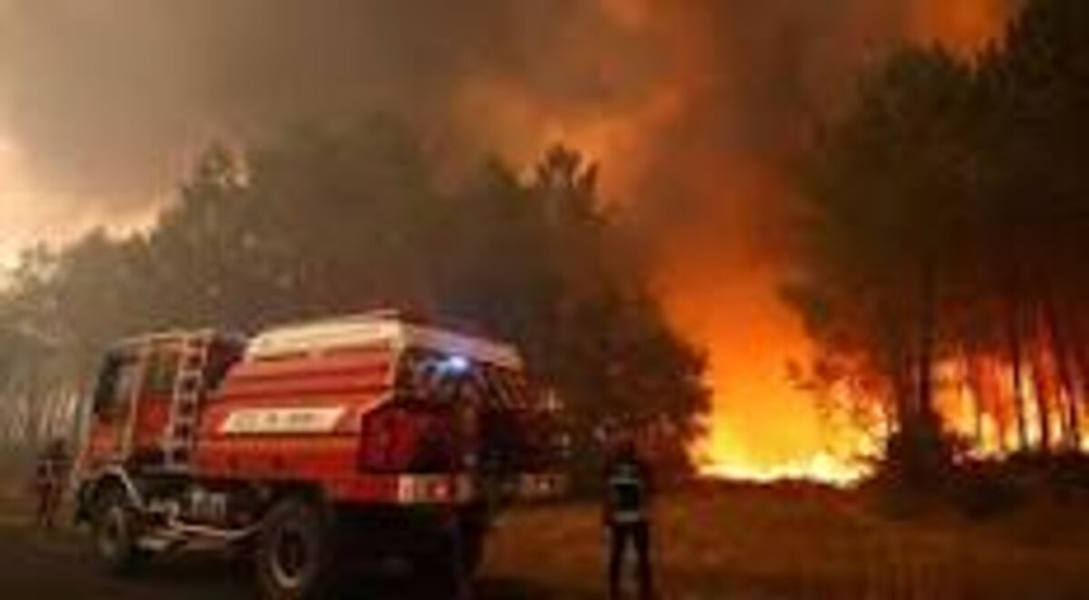 Les forêts brûlent, les pompiers meurent, le capital engrange dividendes et cadeaux
